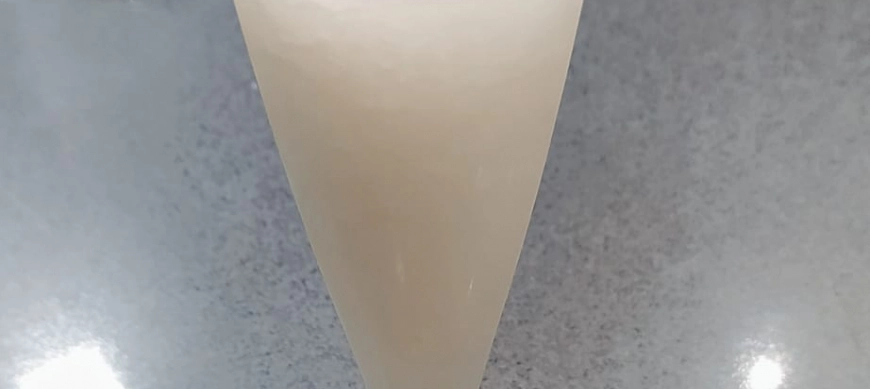 COMO PREPARAR SORBETE DE LIMON CON CAVA