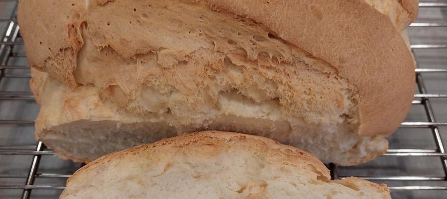 PAN EXPRESS SIN GLUTEN