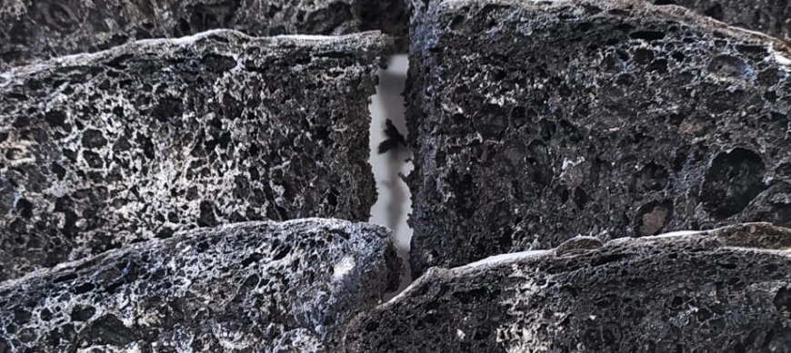 PAN CEBRA CON THERMOMIX