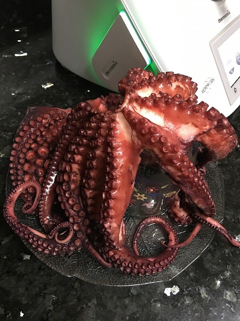 PULPO