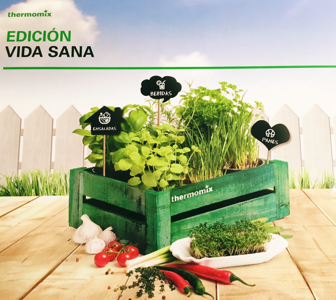 VIDA SANA